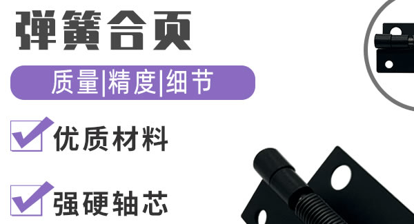 彈簧合頁，廣有制造|廣有五金&東莞合頁